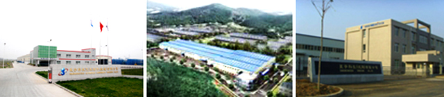 기업현황2006 2009
